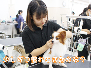 ☆１年生のトリミング実習☆
